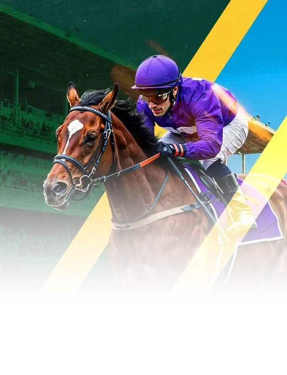 sport id page header img